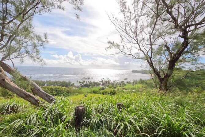 The Full Tour Lower East Coast Barbdos E-Bike Tour - What Travelers Say and Why It Matters