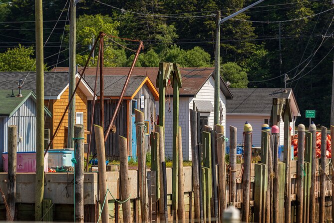 The Fundy Coastal Run to Quaco - Included Experiences