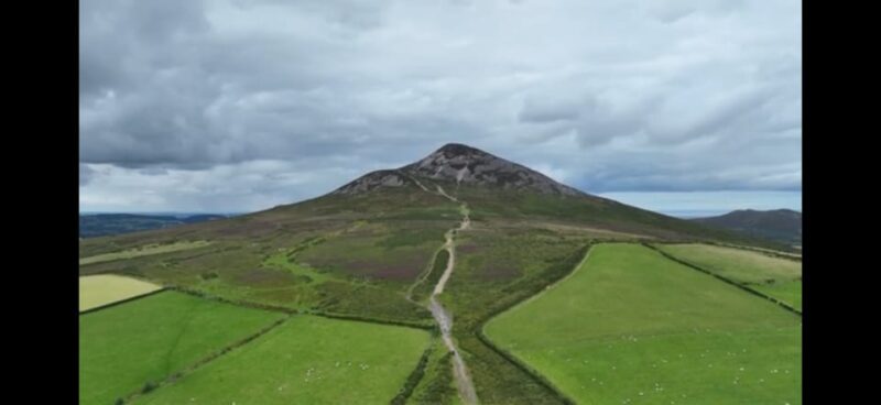 The Garden of Ireland Wicklow Tour - Accessibility Features