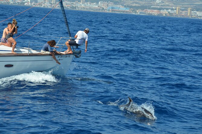 The Giants Cliffs Small-Group Sail Tour With Lunch - Booking Information