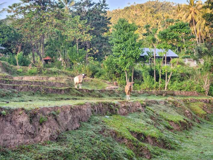 The Gili Mushroom Tours - Unique Experiences and Highlights