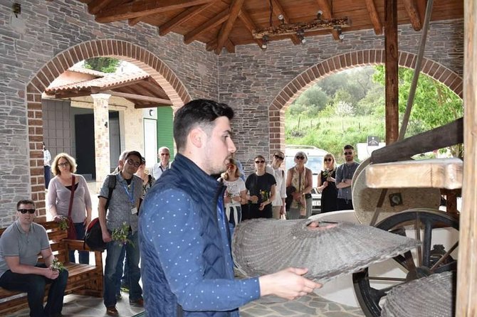 The Governor Olive Mill Tour With Olive Oil Tasting - Reviews and Notable Comments