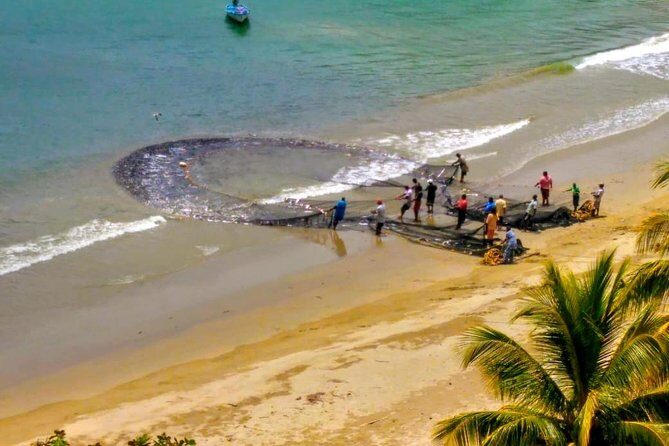 The Grand Circle 12-Hour All-Inclusive Island Experience - What Travelers Say