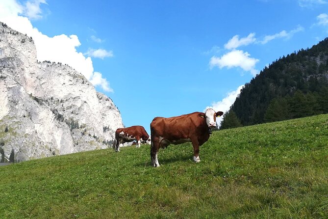 The Grand Dolomites Tour From Lake Garda - Key Locations to Explore