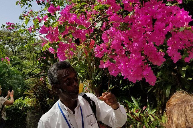 The Grand Tour of St. Kitts - Value for Money