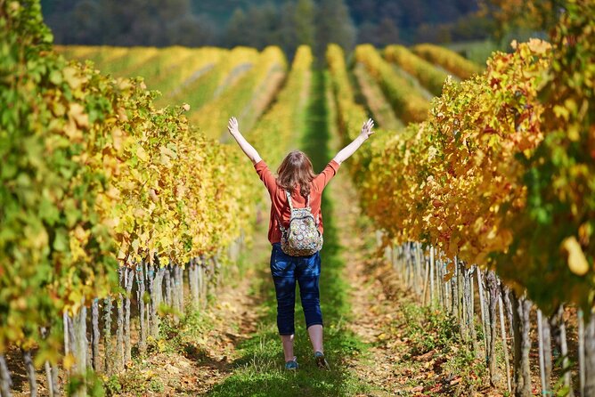 The Grand Wine Tour With Sommelier – 2 Wineries With Chianti & Supertuscan - Verified Reviews and Ratings