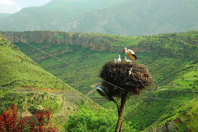 The Great Beauty of Armenia: 7-Day Culture and Cuisine Tour - Final Thoughts