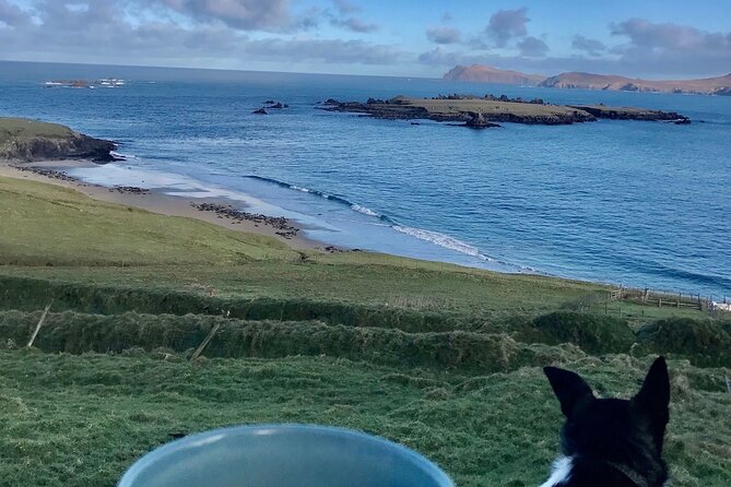 The Great Blasket Island Experience - Booking Information