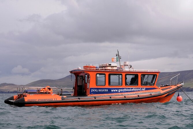 The Great Blasket Island Experience - Tips for Visitors