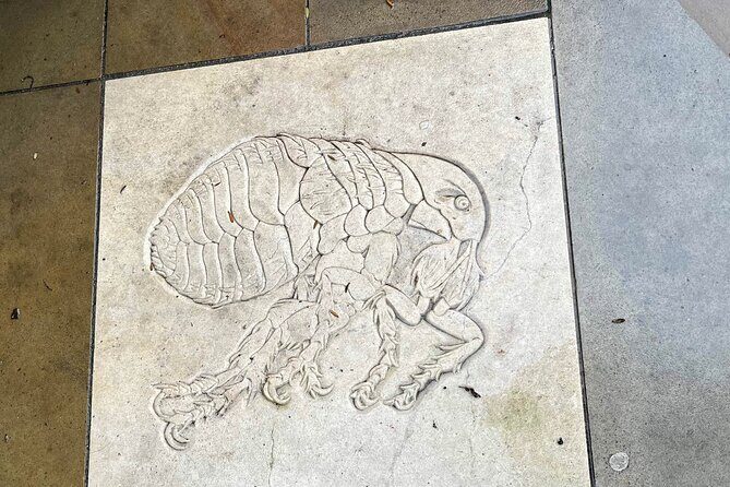 The Great Plague & Black Death Tour of London - Who Should Book This Tour?