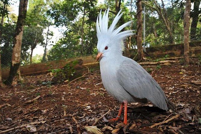 The Great South in 4x4 Adventure mode - Mountain/River - Final Thoughts: Who Should Consider This Tour?