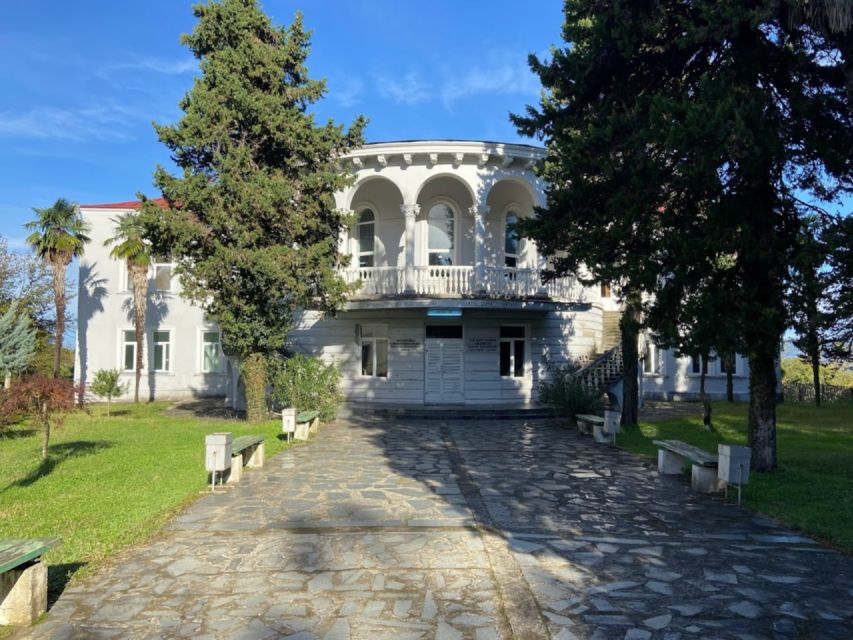 The Green Gold of Georgia - Anaseuli Experimental Tea Factory