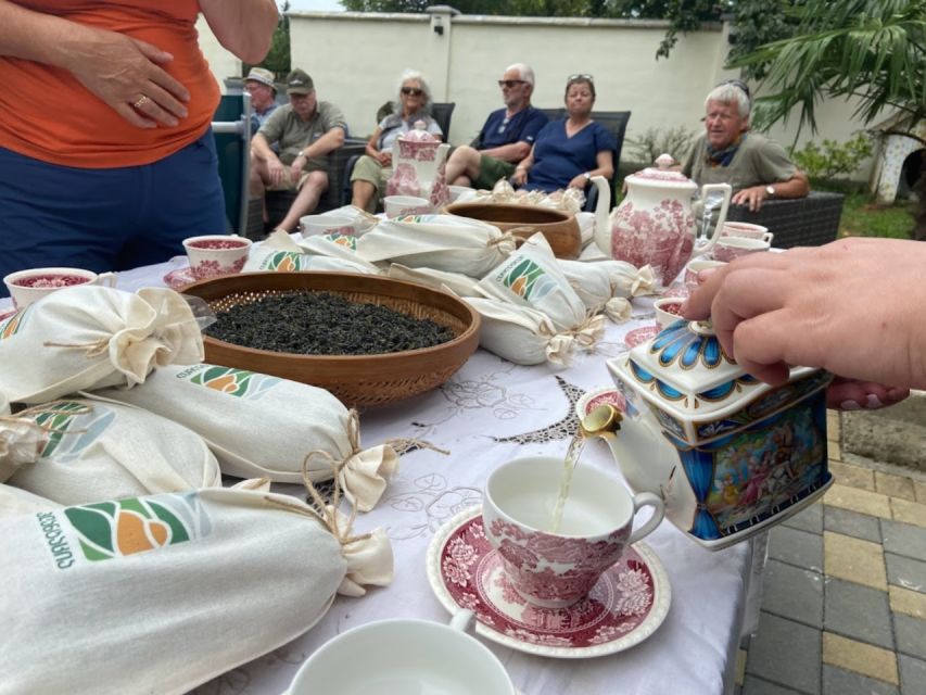 The Green Gold of Georgia - Picnic Amidst Organic Plantations