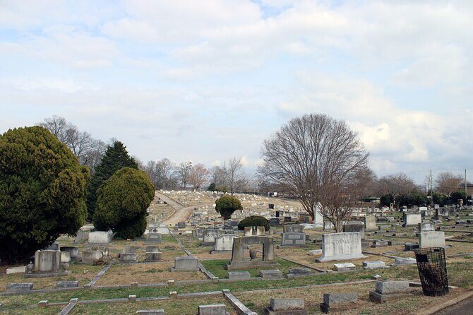 The Greenville Ghost Hunt 2 Hour Walking Tour - What Past Guests Say