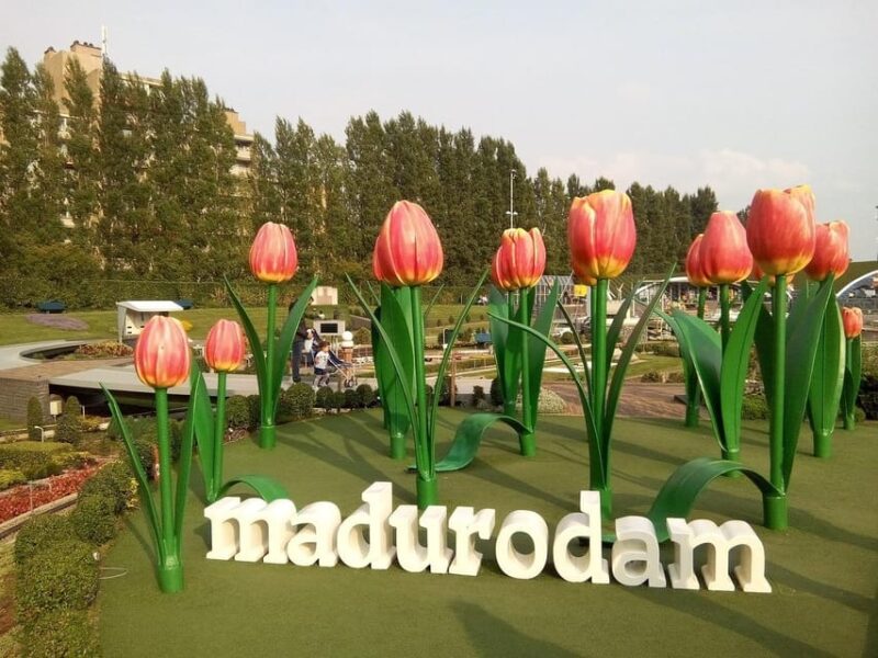 The Hague & Delft: the Girl With the Pearl Earring - Discovering Madurodam