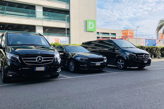 The Hague to Amsterdam Cruise Port - Departure Private Transfer - Pickup Information