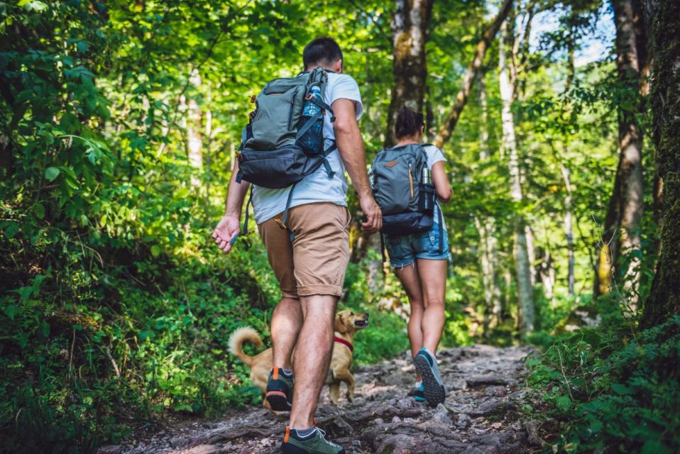 The Haitises: Caves, Mangroves, & Rainforest Hike/Boat Tour - Navigating the Mangrove Channels
