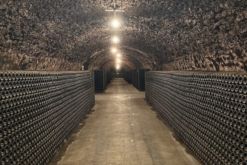 The Heart of the Champagne Region - Exploring the Vineyards of Marne Valley and Côte Des Blancs