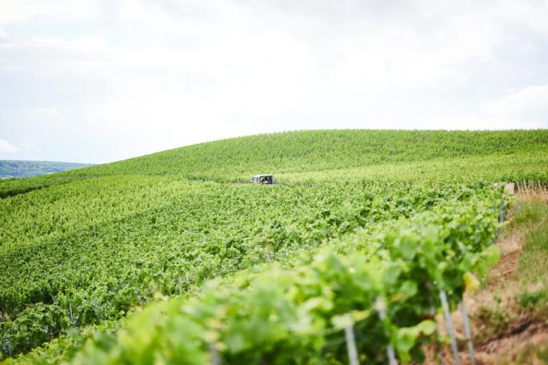 The Heart of the Champagne Region - The Art of Champagne Making