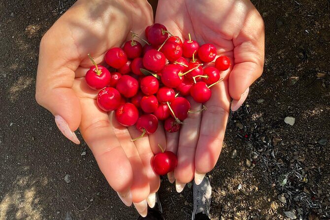 The Hidden Gems of Curacao - An Authentic Curaçao Experience: What to Expect