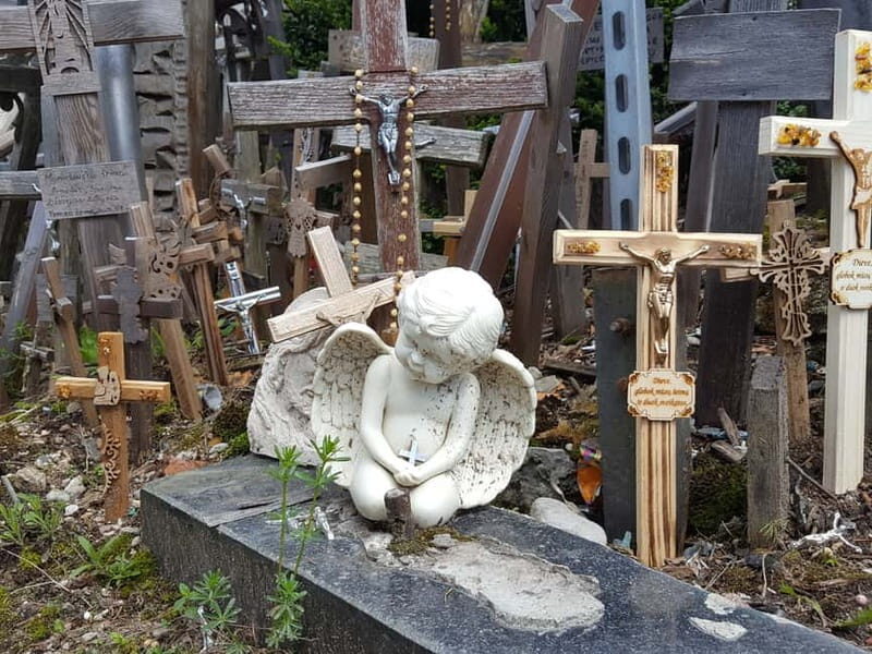 The Hill of Crosses: Full-Day Tour from Vilnius - Returning to Vilnius