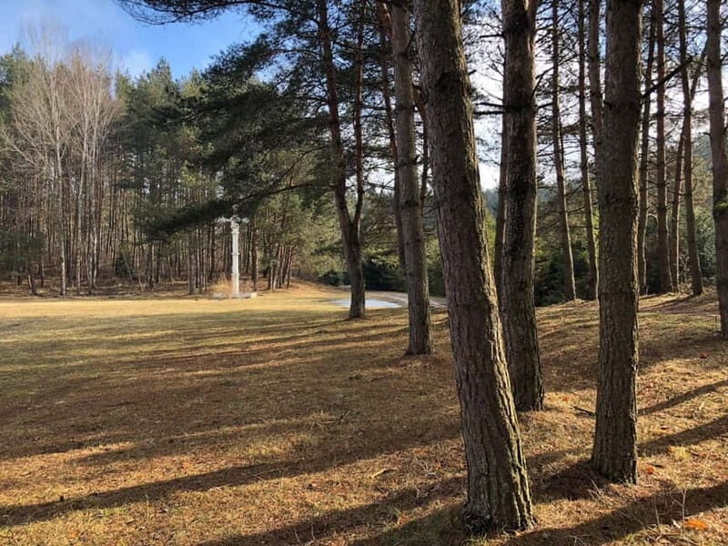 The Hill of Crosses: Full-Day Tour from Vilnius - The Practicalities