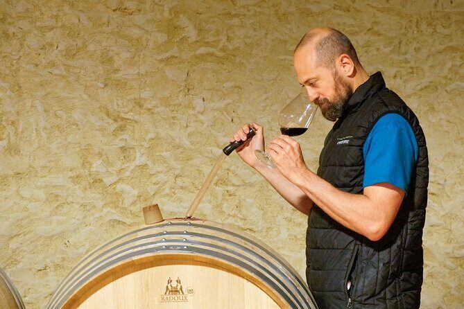 The history of Amarone: tour and vertical tasting of 3 decades - A Closer Look at the Tour Experience