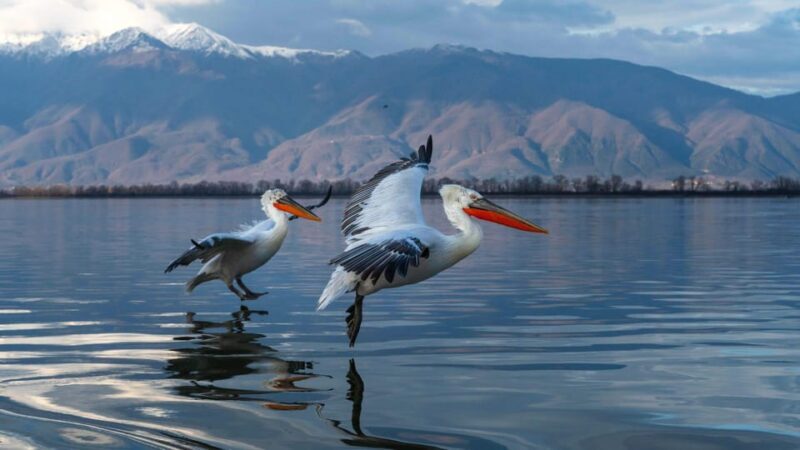 The Island of the Snakes - Golem Grad - Exploring Golem Grad and Lake Prespa: What to Expect