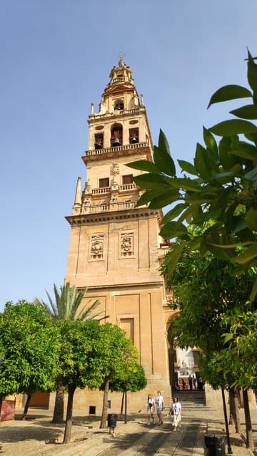 The jewel of Cordoba: Mosque-Cathedral Guided Tour - Final Thoughts: Is It Worth It?