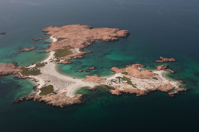 The Jewel of Muscat Sea, Daymaniyat Islands - Exploring the Underwater World