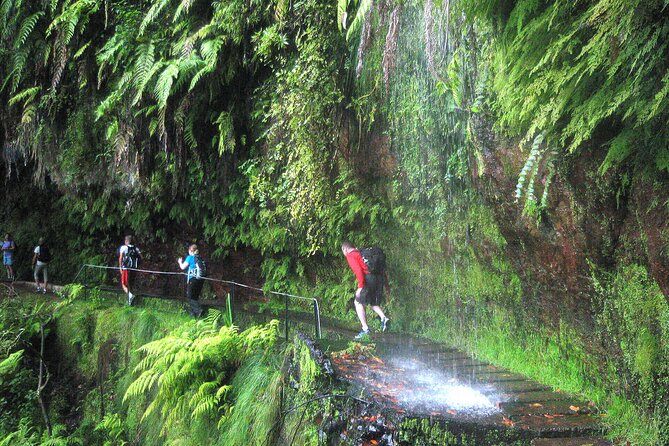 The Kings Levada Review: A Scenic Adventure - Key Points