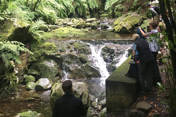 The Kings Levada Review: A Scenic Adventure - Tour Features