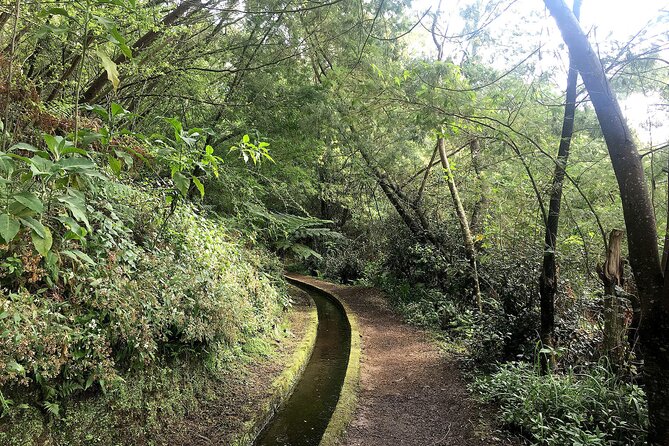 The Kings Levada Review: A Scenic Adventure - Since You Asked