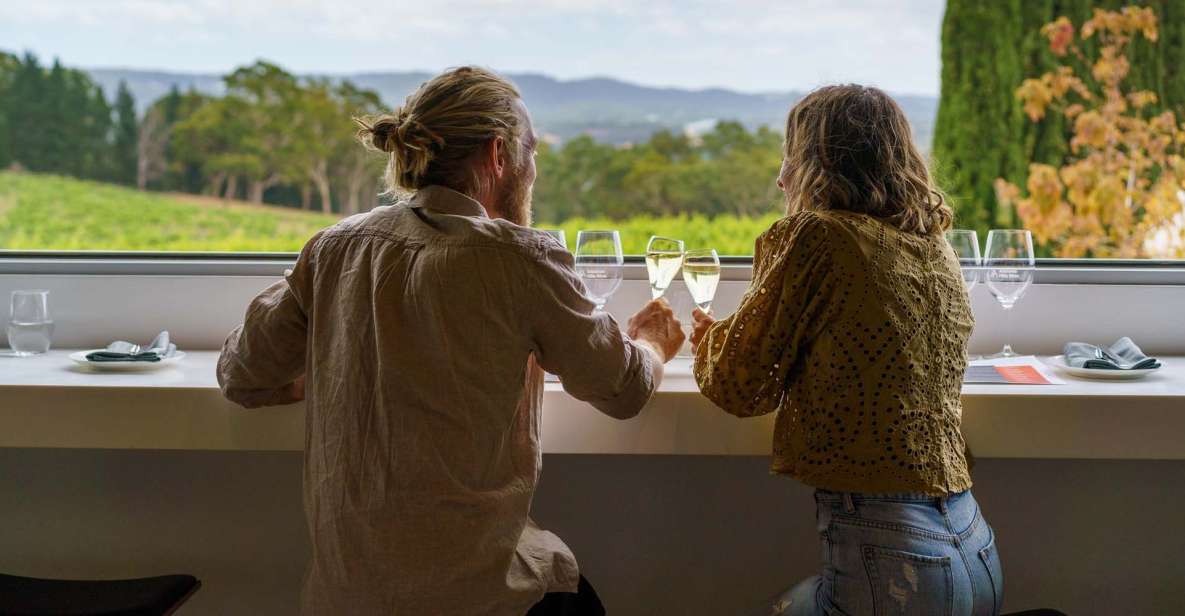 The Lane Vineyard: Gathering Experience - Key Points