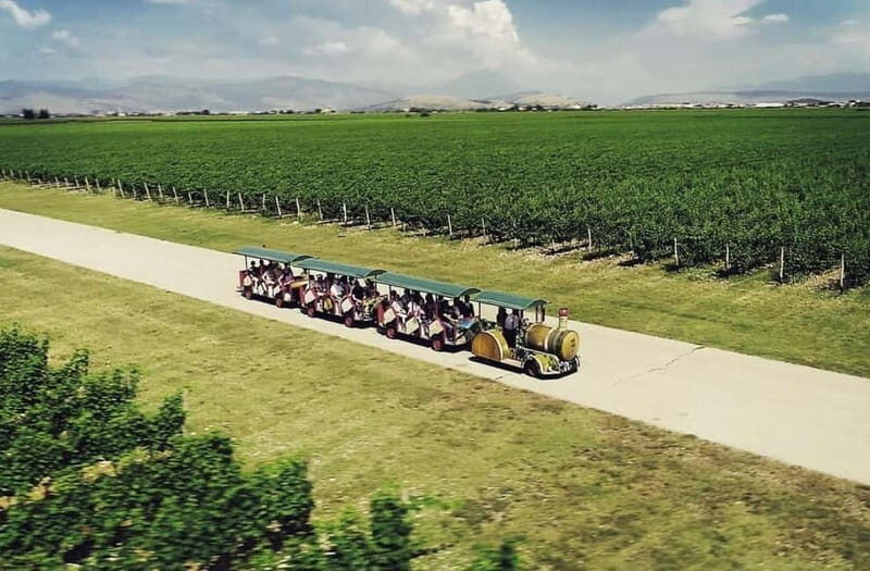 The largest winery in Montenegro: private tour & transport - Key Points