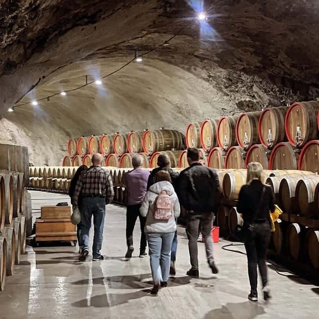 The largest winery in Montenegro: private tour & transport - Who Should Consider This Tour?