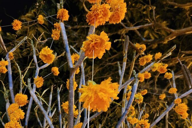 The Last Farewell Night in the Pantheons of Tlalixtac and San Felipe - The Value of the Experience