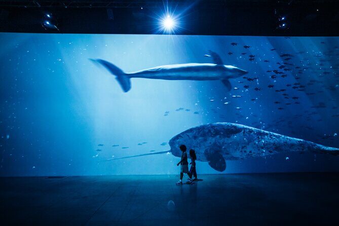 The Legend of the Titanic Immersive Exhibition in Zurich - The Sum Up