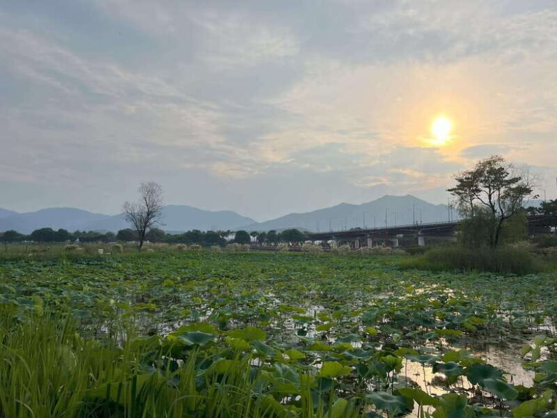 The Life Relaxation Found in Pocheon Tour:2-day,1-night Tour - Key Points