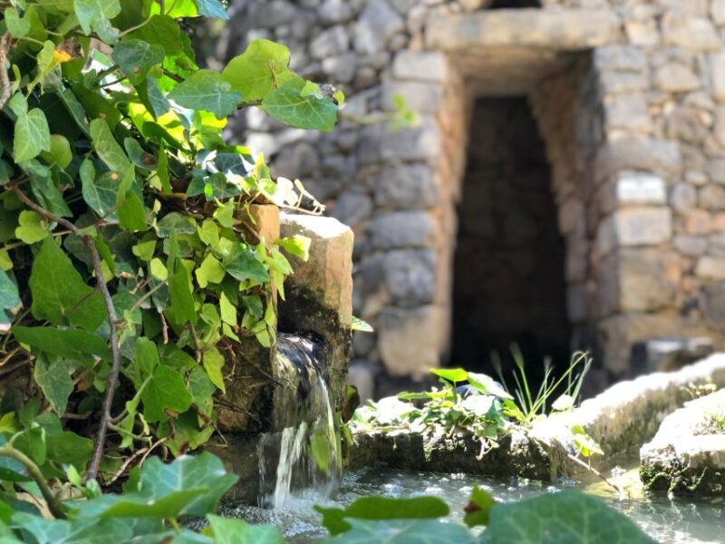 The Limestone Heritage Park and Gardens (Entry Ticket) - The Value and Practical Details