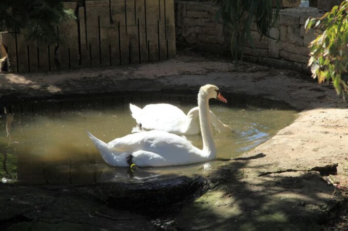 The Limestone Heritage Park and Gardens (Entry Ticket) - Tips for Your Visit
