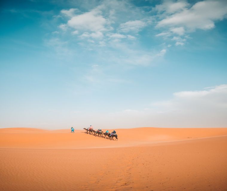 The Luxury 2days 1night Desert Tour From Fez to Fez/Marakech - Transportation and Logistics