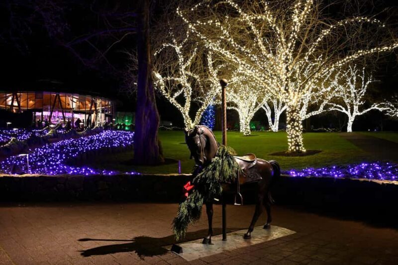 The Magic of Christmas at the Butchart Gardens - An In-Depth Look at the Experience