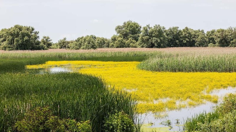 The Magic of Transylvania and the Danube Delta: 8 Days - Key Points