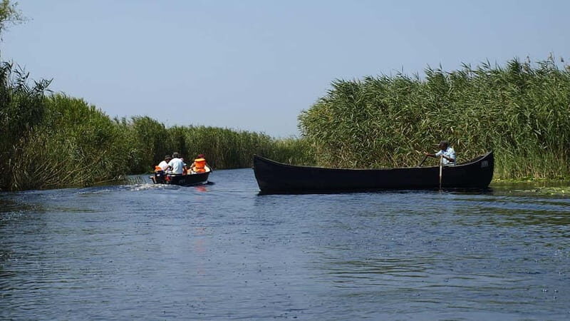 The Magic of Transylvania and the Danube Delta: 8 Days - Cost and Value Assessment