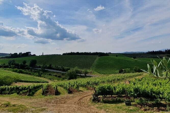 THE MASTER of Chianti Classico 3 Top Wineries Limousine Service - Exploring the Itinerary: What’s Included and What You’ll Love