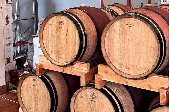 The Medici Family: Lorenzo The Magnificient and the TV movie - Frequently Asked Questions