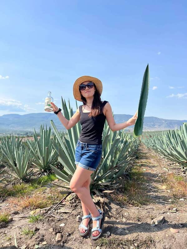 The Mezcal Journey - Frequently Asked Questions