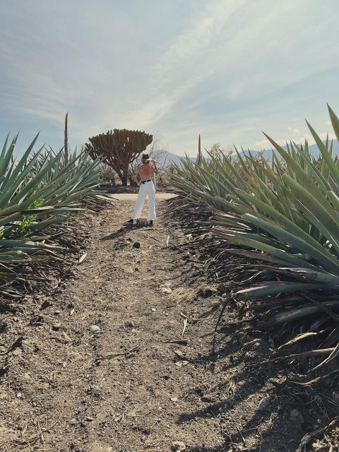 The Mezcal Journey - Artisanal Mezcal Distillery Experience