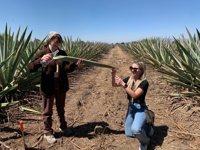 The Mezcal Journey - Unlimited Mezcal Tasting